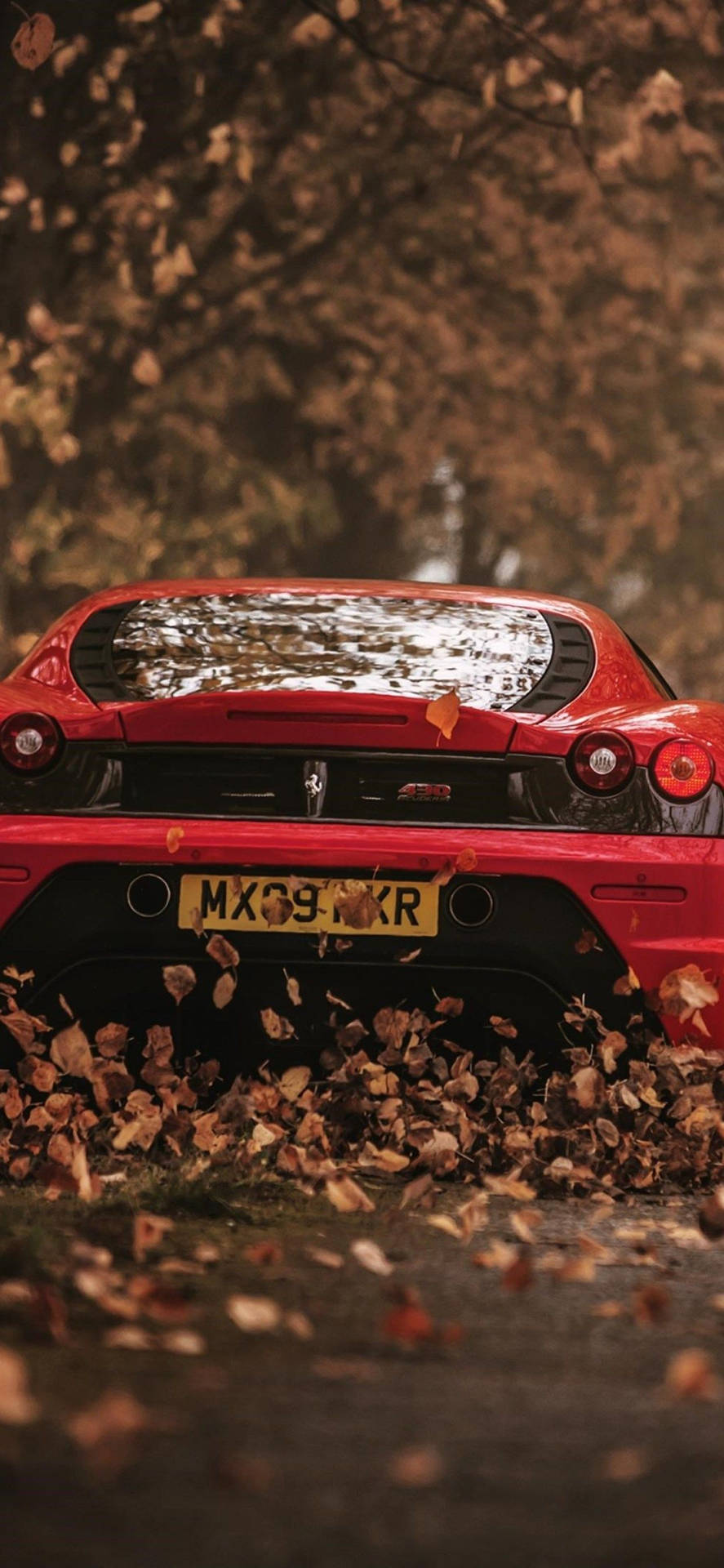 Autumn Leaves Ferrari Iphone