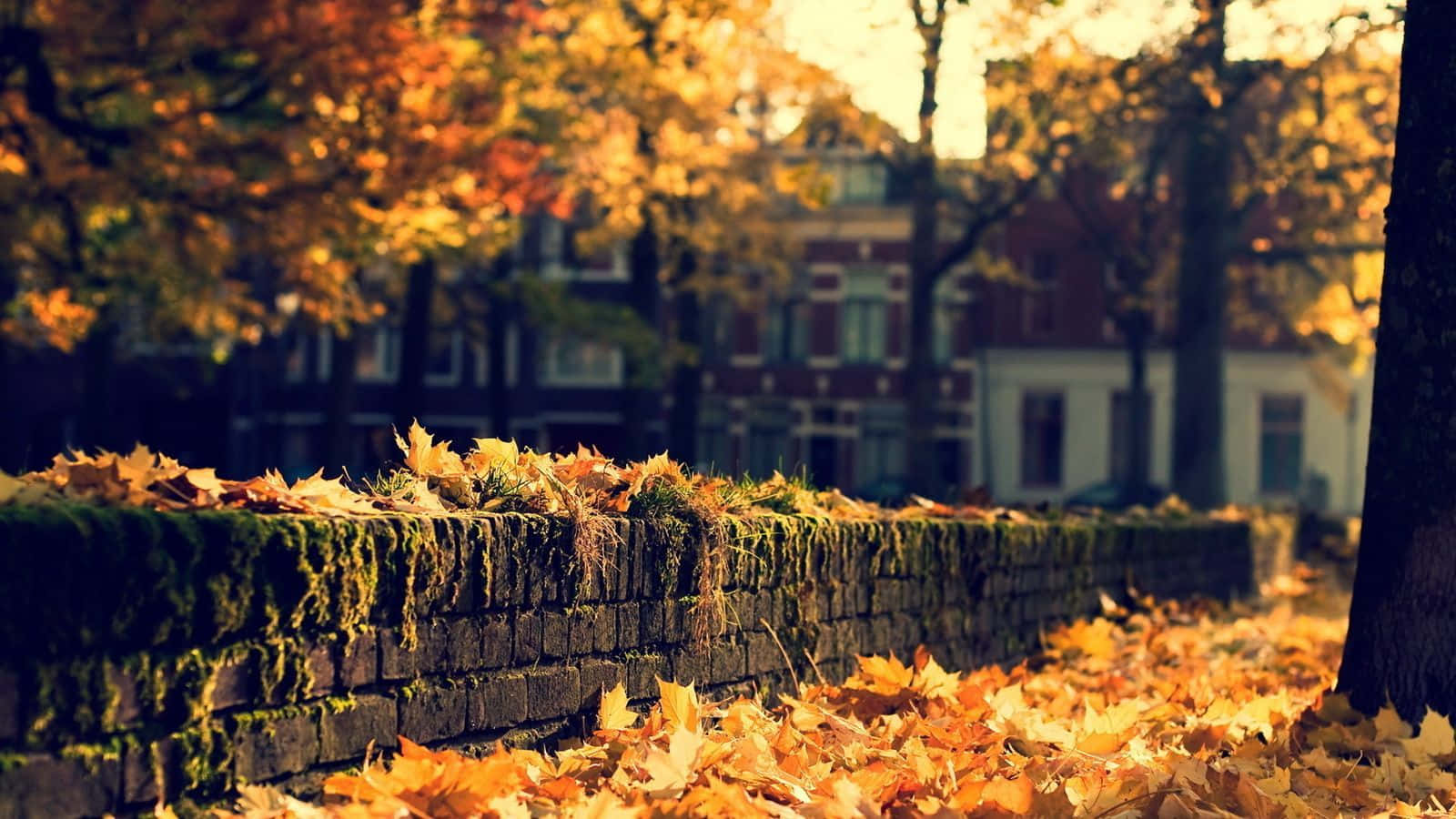 Autumn Leaves On A Brick Wall Background