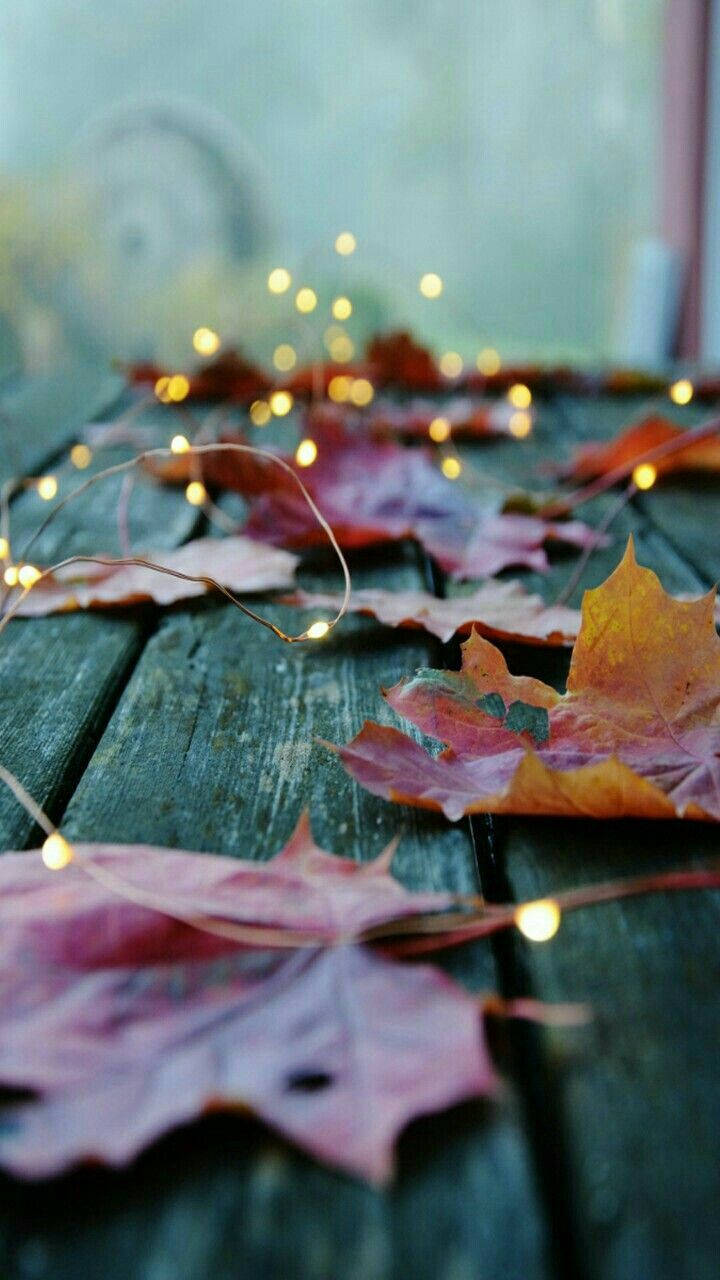 Autumn Leaves On A Wooden Table With Lights Background