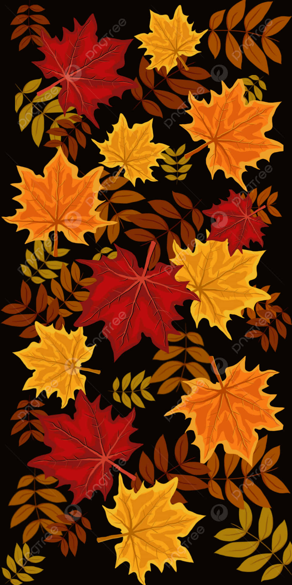 Autumn Leaves On Black Background Background