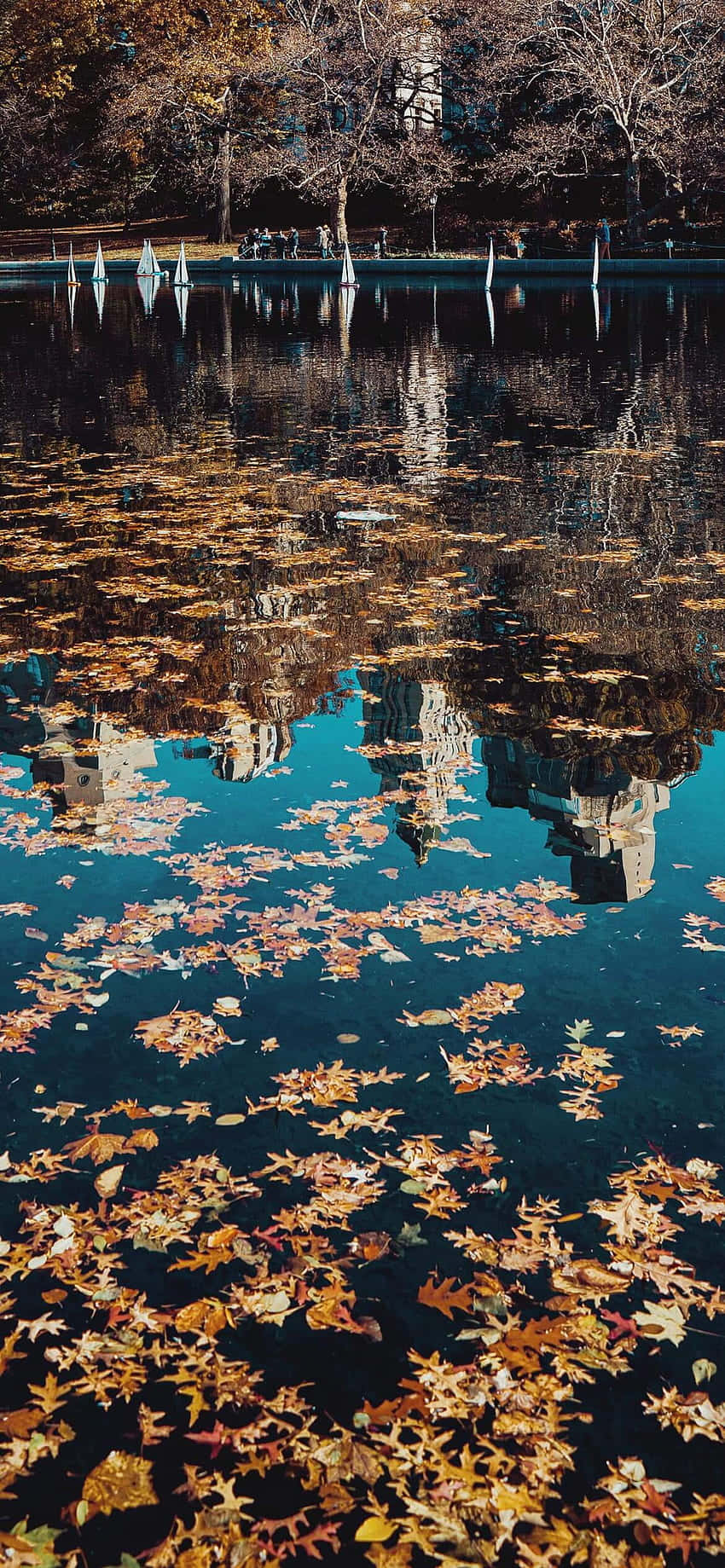 Autumn Leaves Reflected In A Lake Background