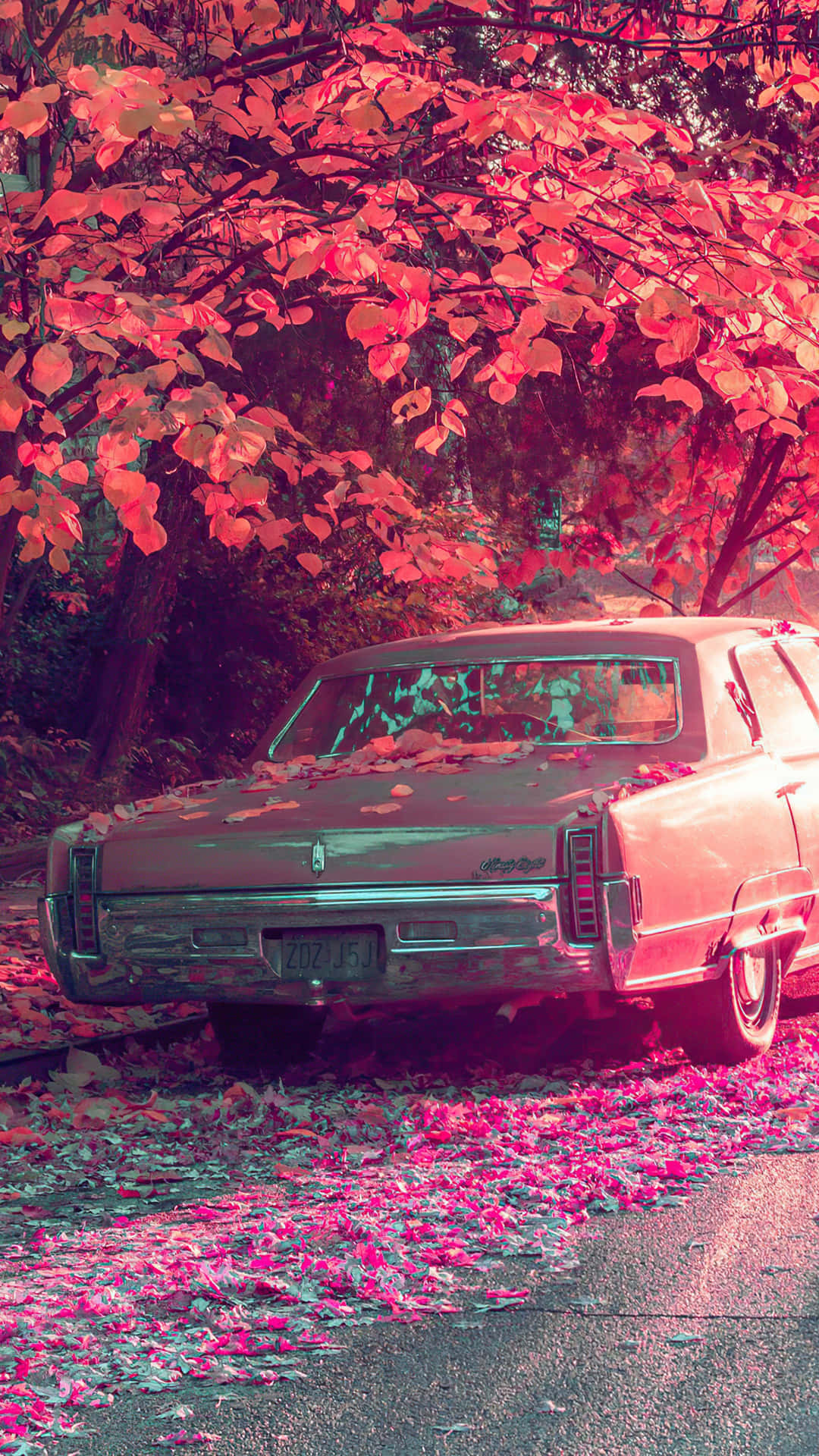 Autumn Leaves Vintage Car Background