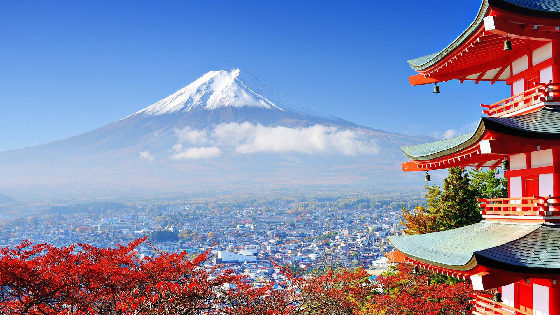 Autumn Macbook Arakurayama Sengen Park Background