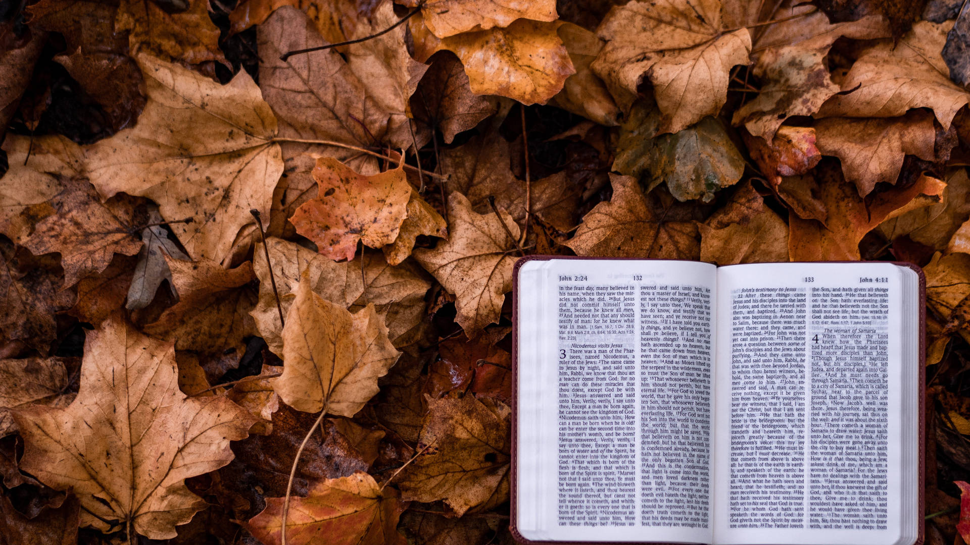 Autumn Macbook Bible Background