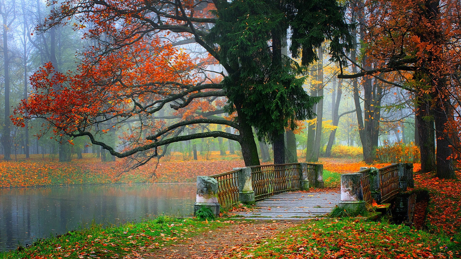 Autumn Macbook Bridge In A Park Background