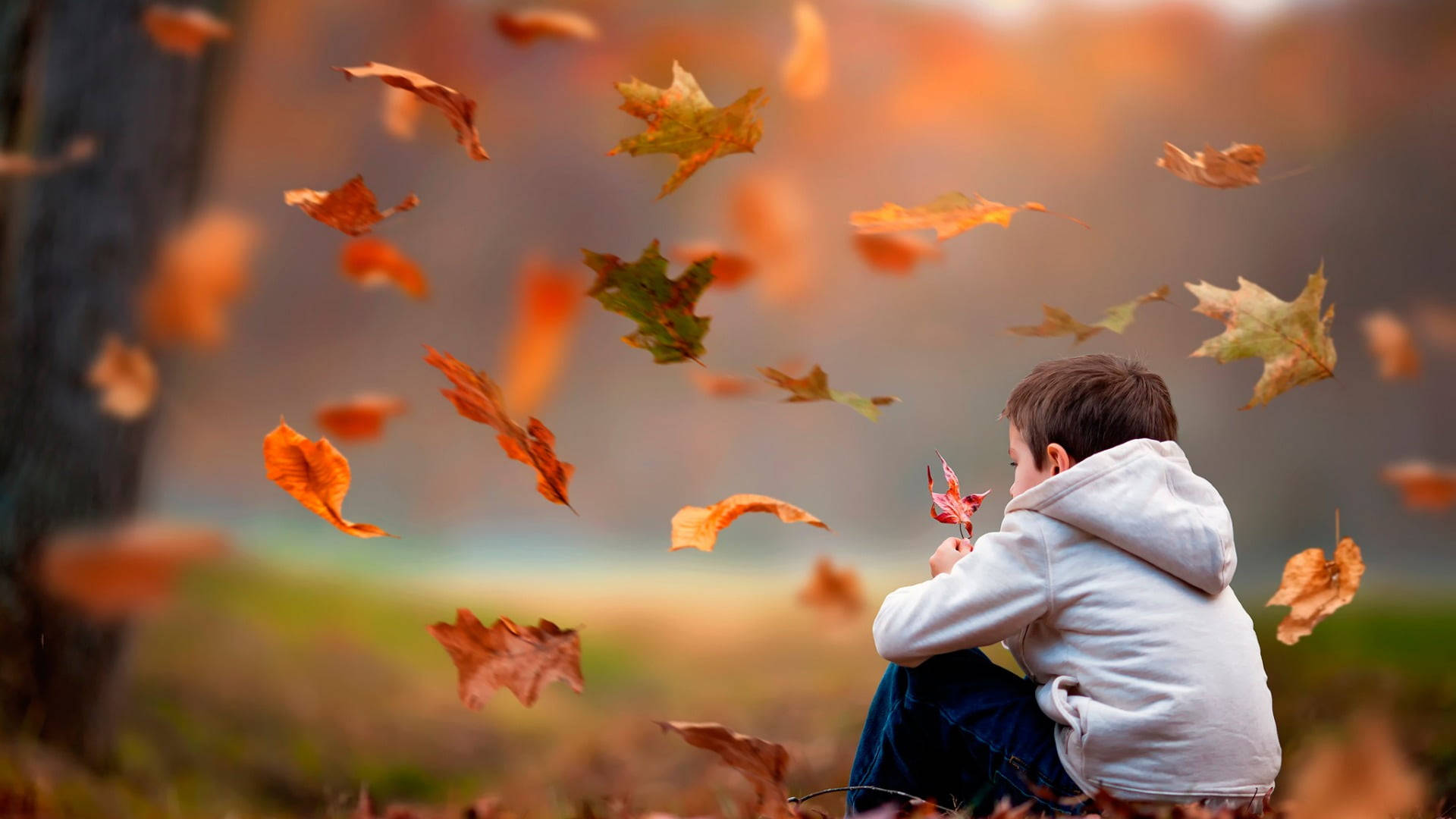 Autumn Macbook Little Boy Background