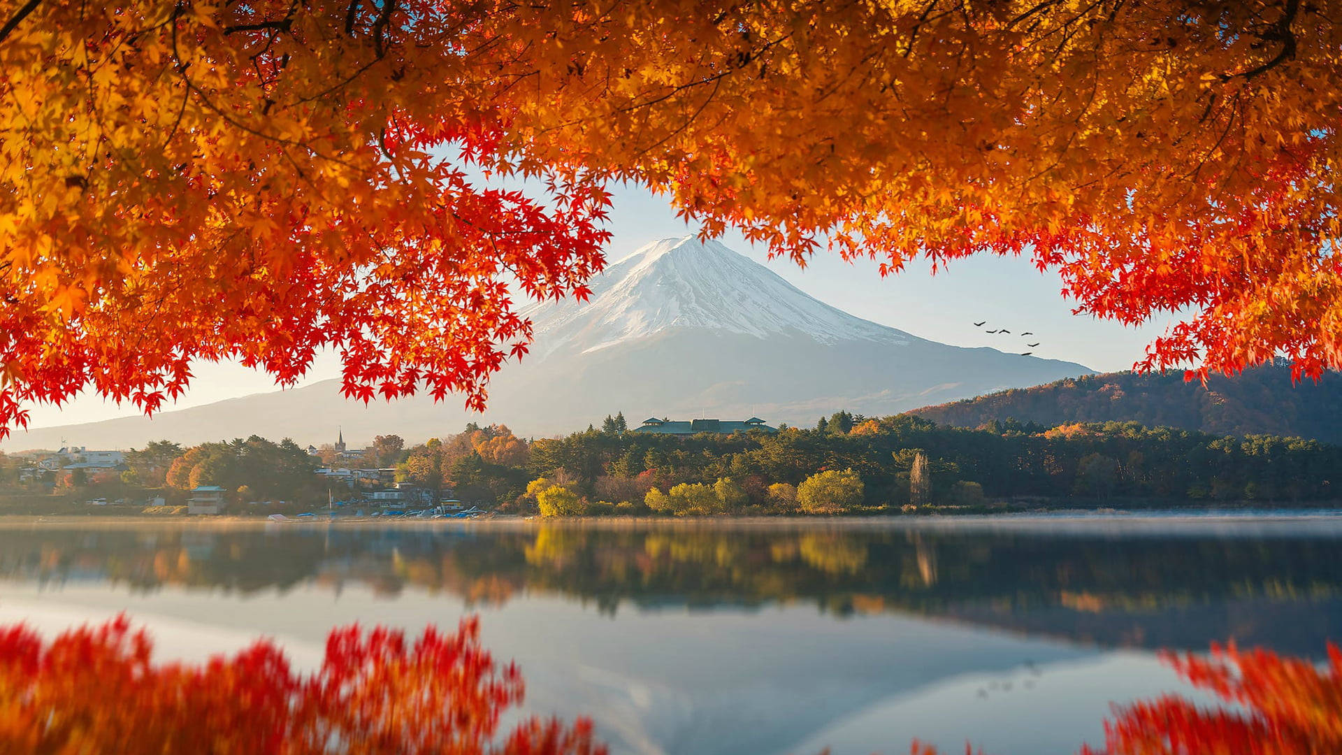 Autumn Macbook Mount Fuji Background