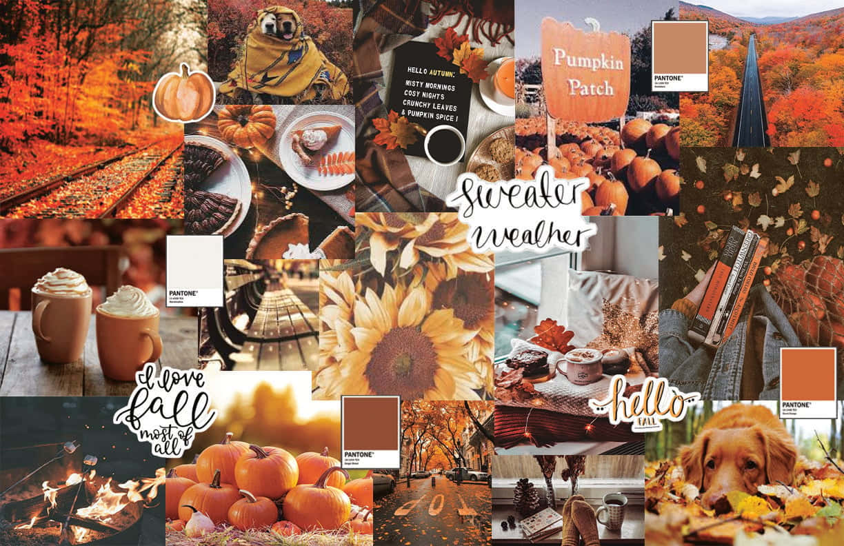 Autumn Mood Board By Sarah Saunders Background