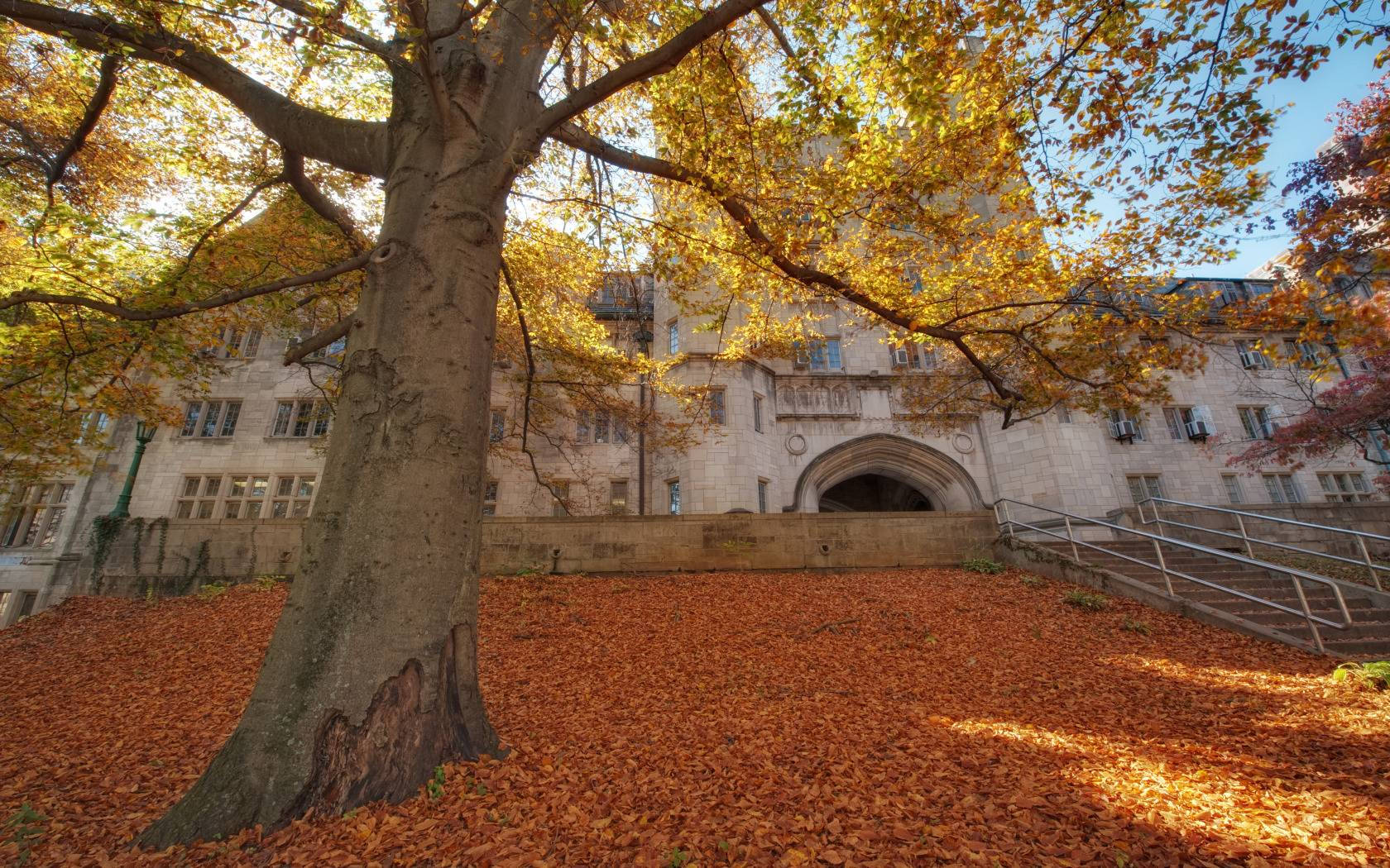 Autumn Morrison Hall Indiana University Bloomington Background