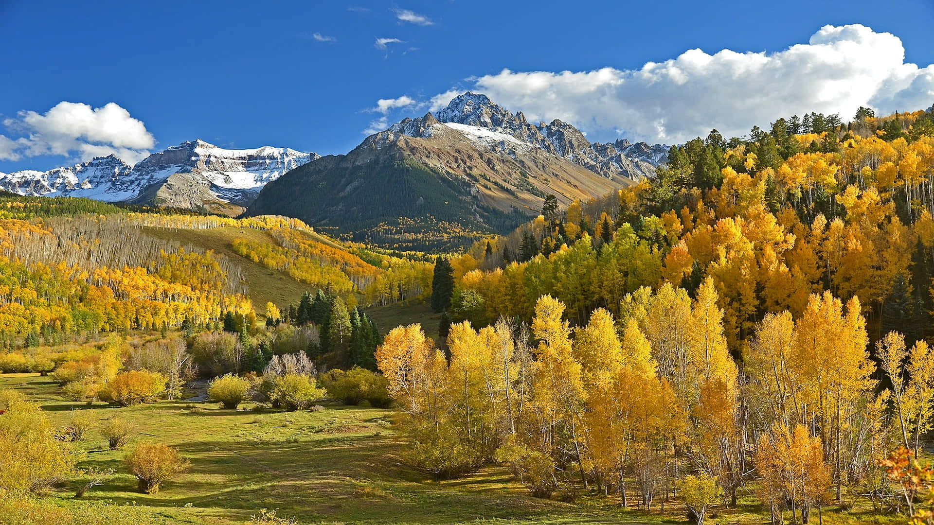 Autumn_ Mountain_ Majesty.jpg