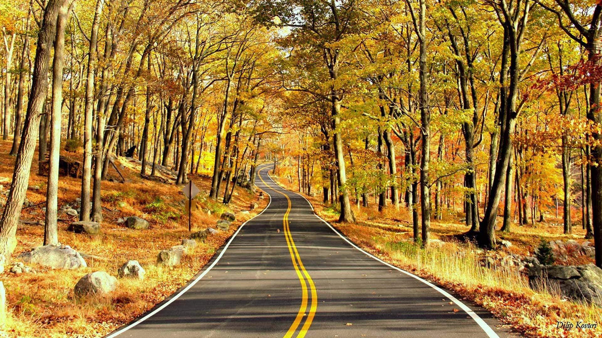 Autumn Nature Teams Background Background