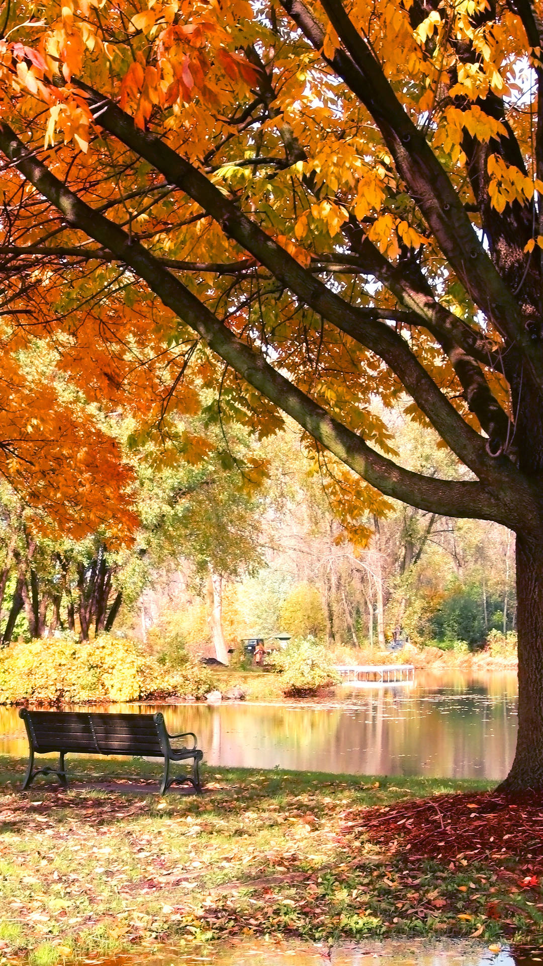 Autumn_ Park_ Bench_by_ Lake_4 K_ U H D Background