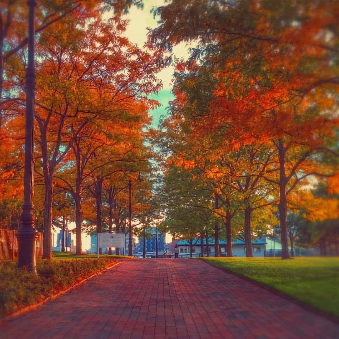 Autumn Park In Boston Background