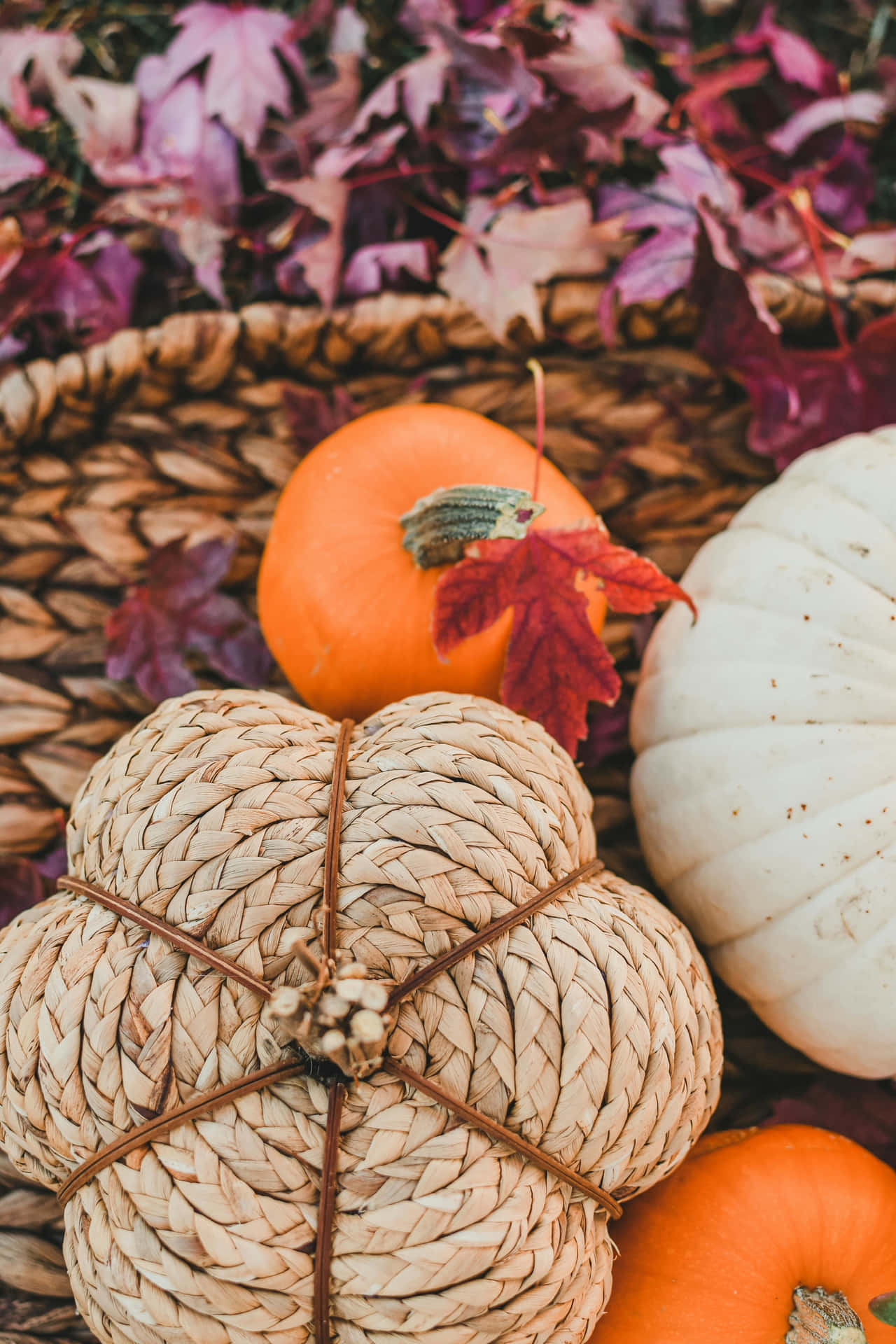 Autumn Pumpkin Decor Still Life Background