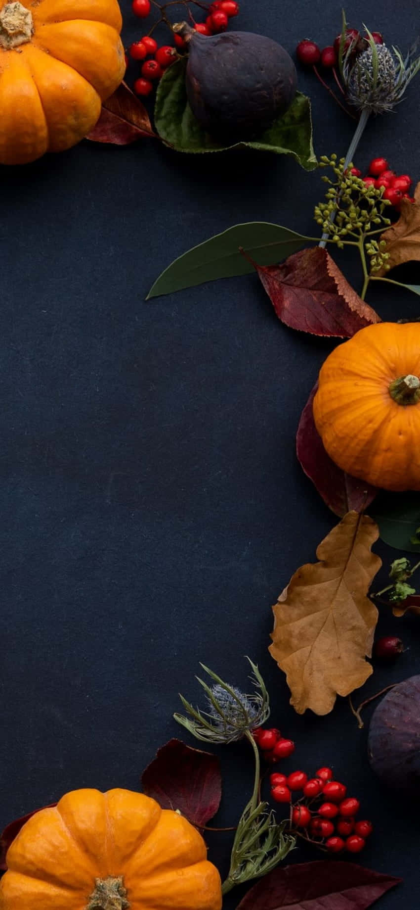 Autumn Pumpkin Decoration Vertical Background