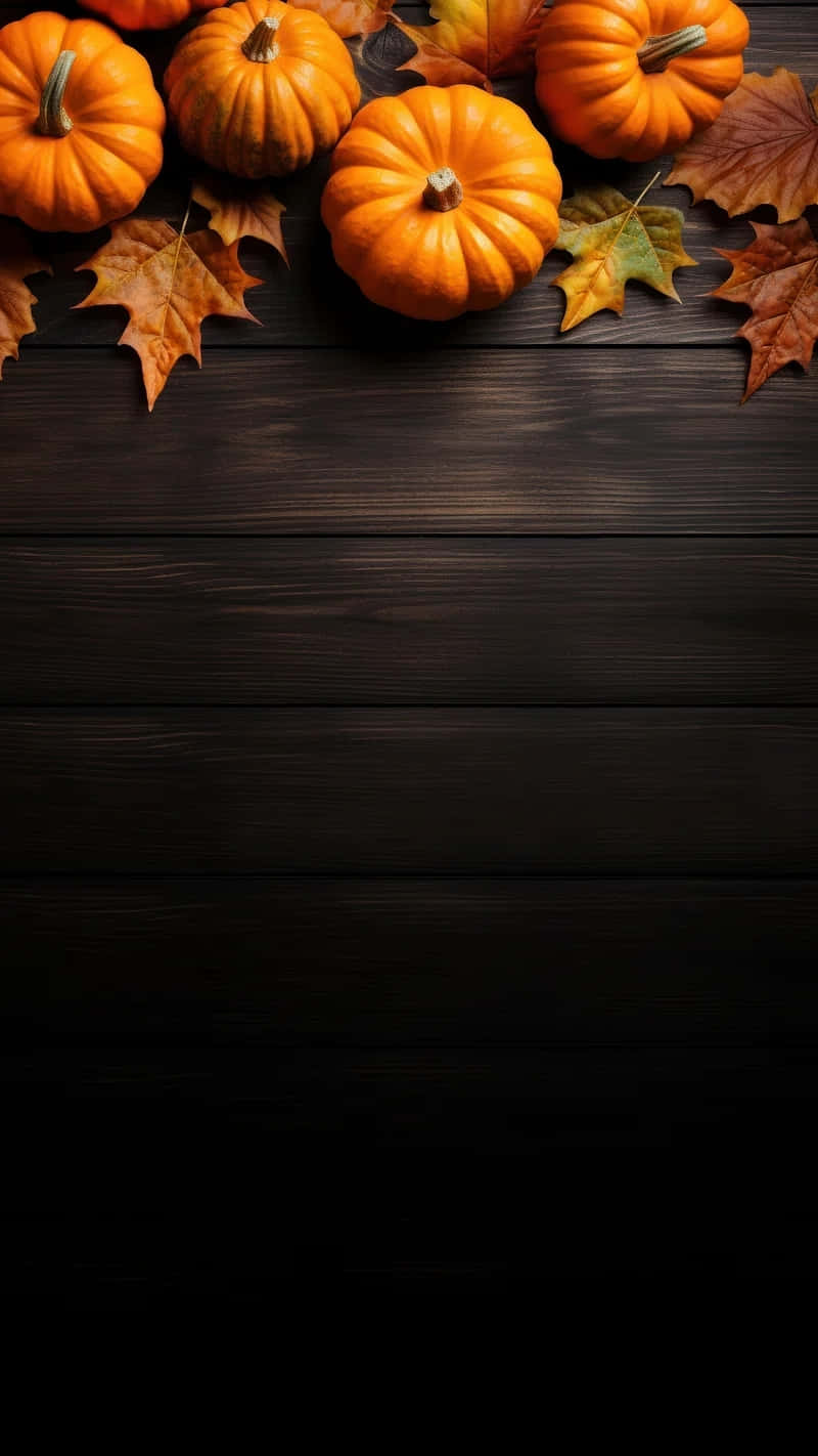 Autumn_ Pumpkins_ Dark_ Wooden_ Background.jpg Background
