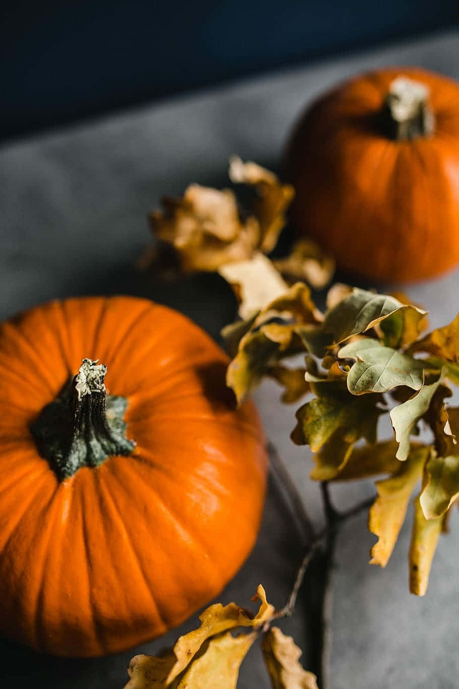 Autumn Pumpkinsand Dried Leaves Background