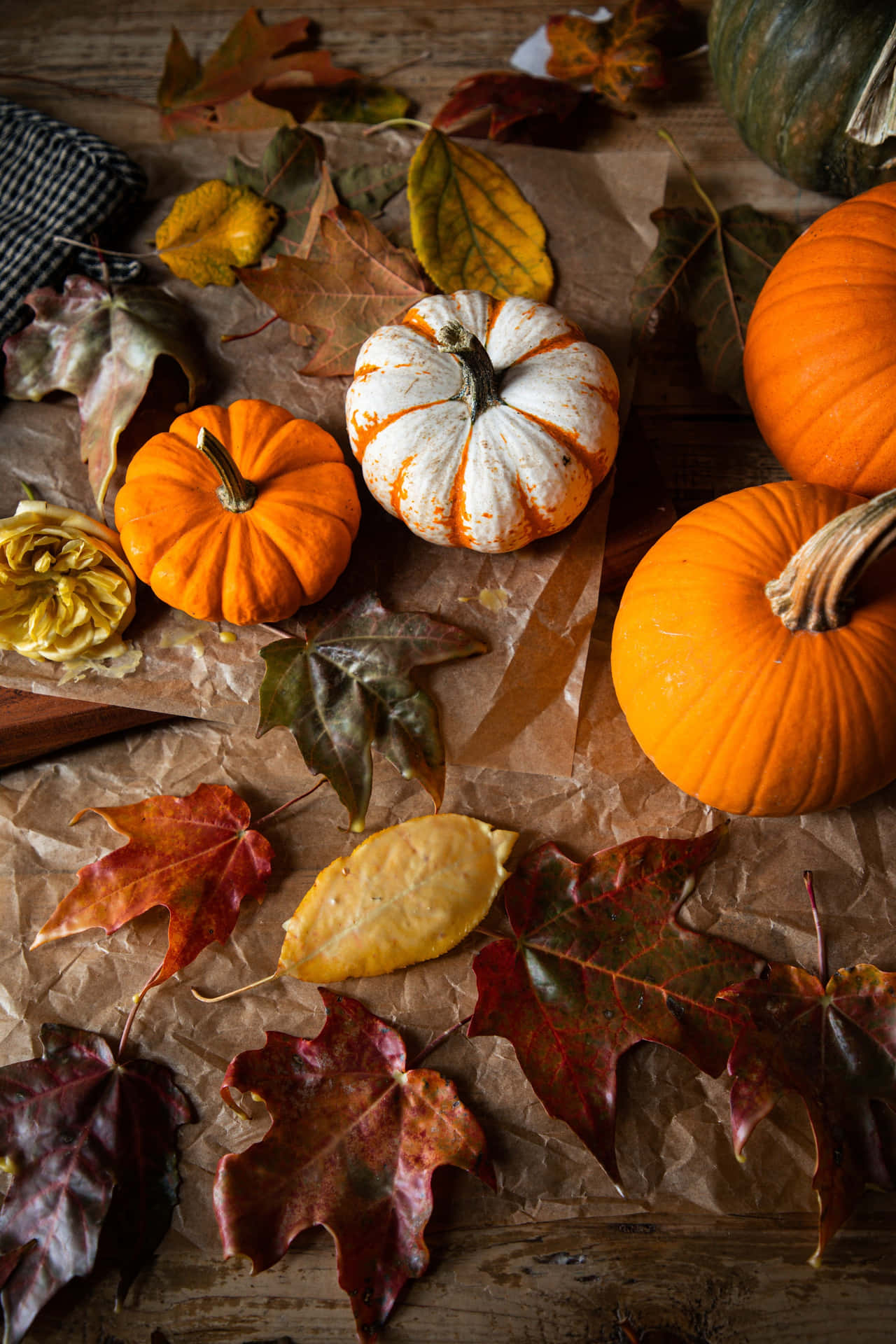Autumn Pumpkinsand Fallen Leaves Background