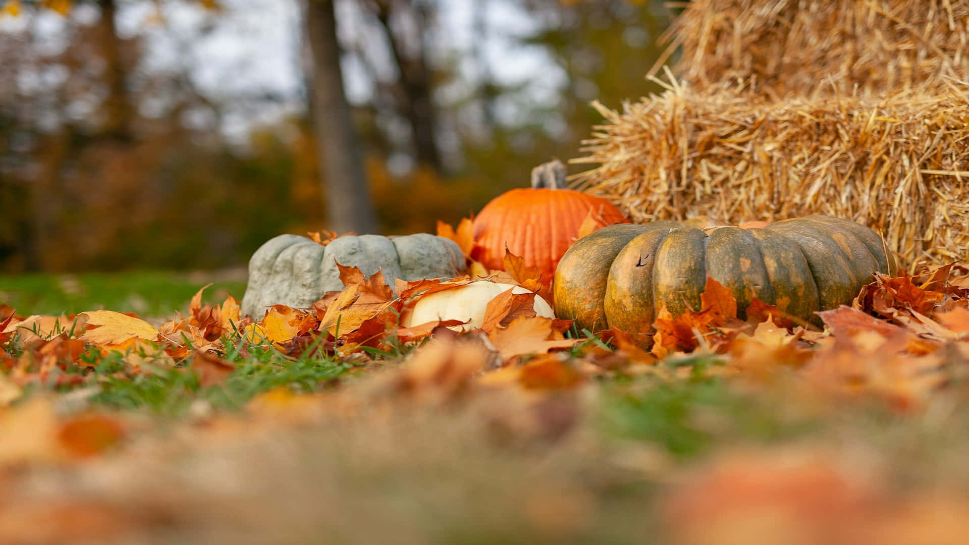 Autumn Pumpkinsand Haystack Background