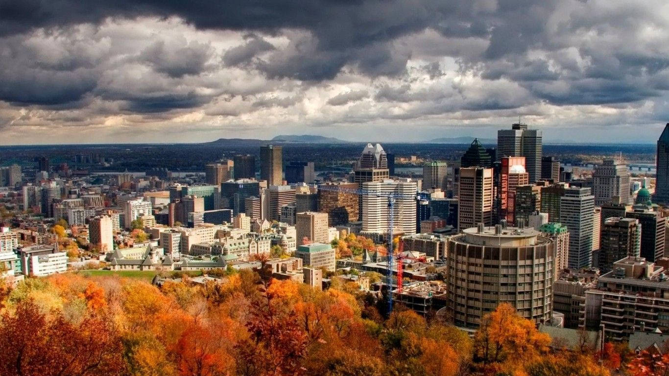 Autumn Quebec City Trees Background