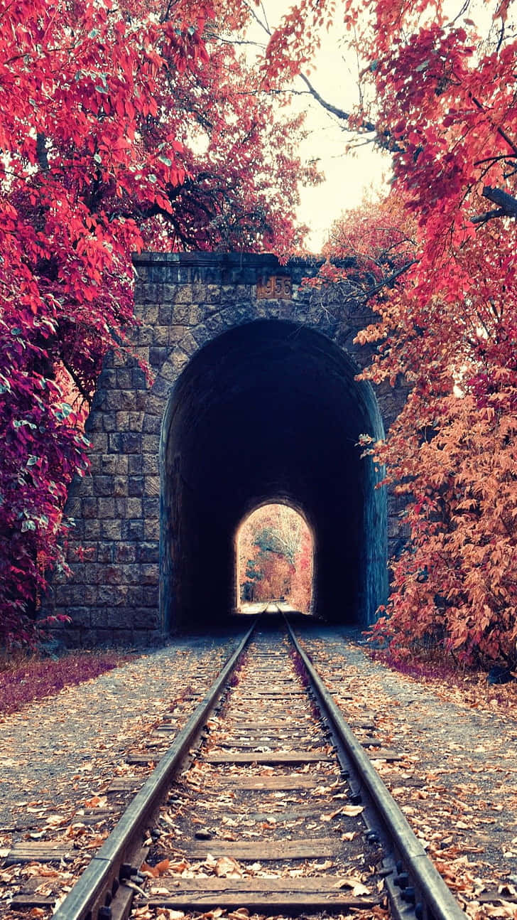 Autumn Railroad Tunnel