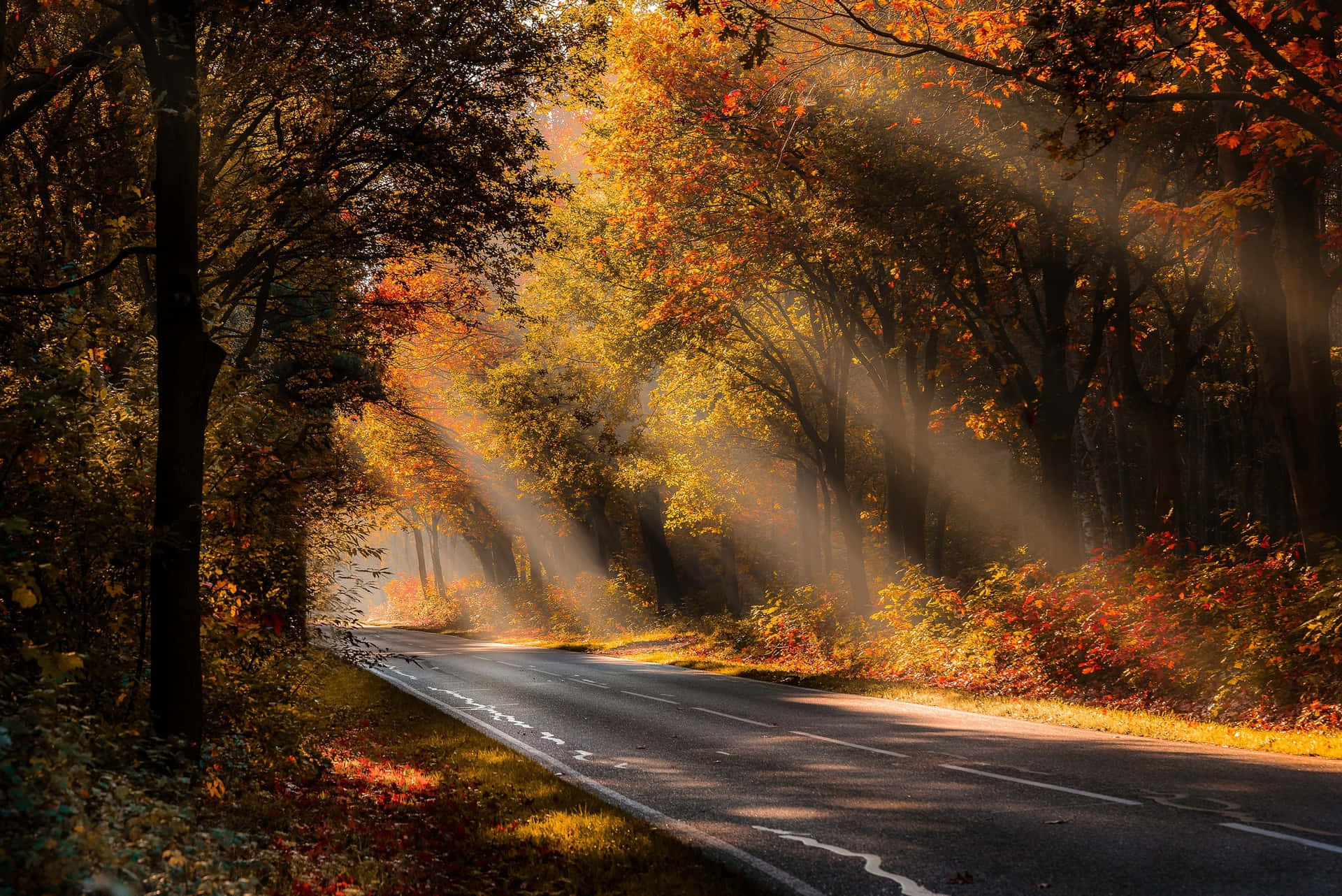 Autumn Rayson Country Road Background