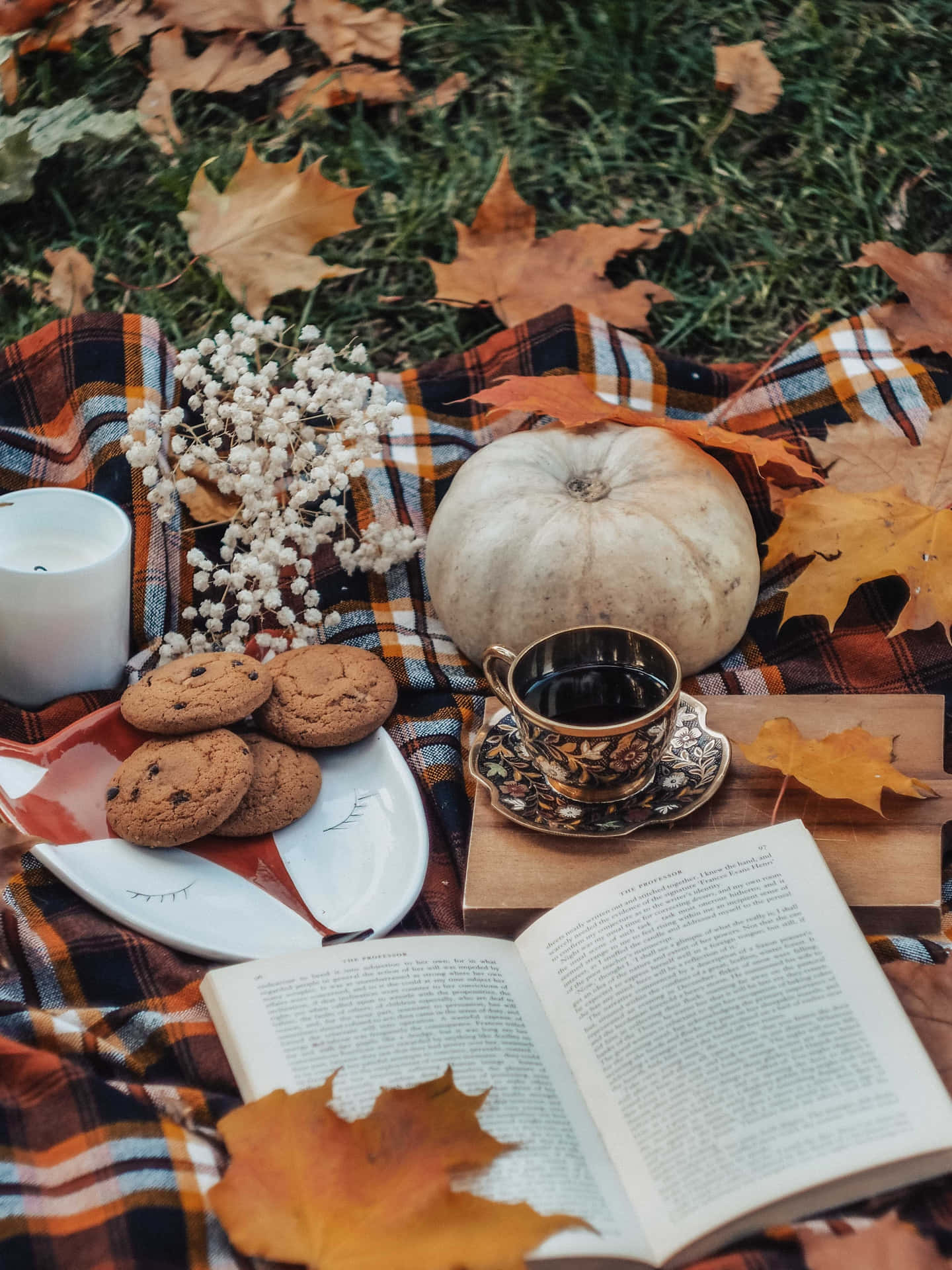 Autumn Reading Pumpkin Still Life