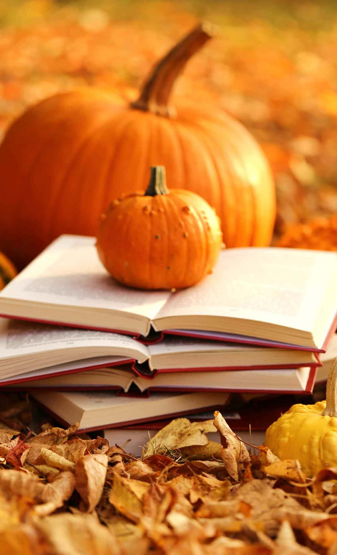 Autumn Reading Pumpkins.jpg