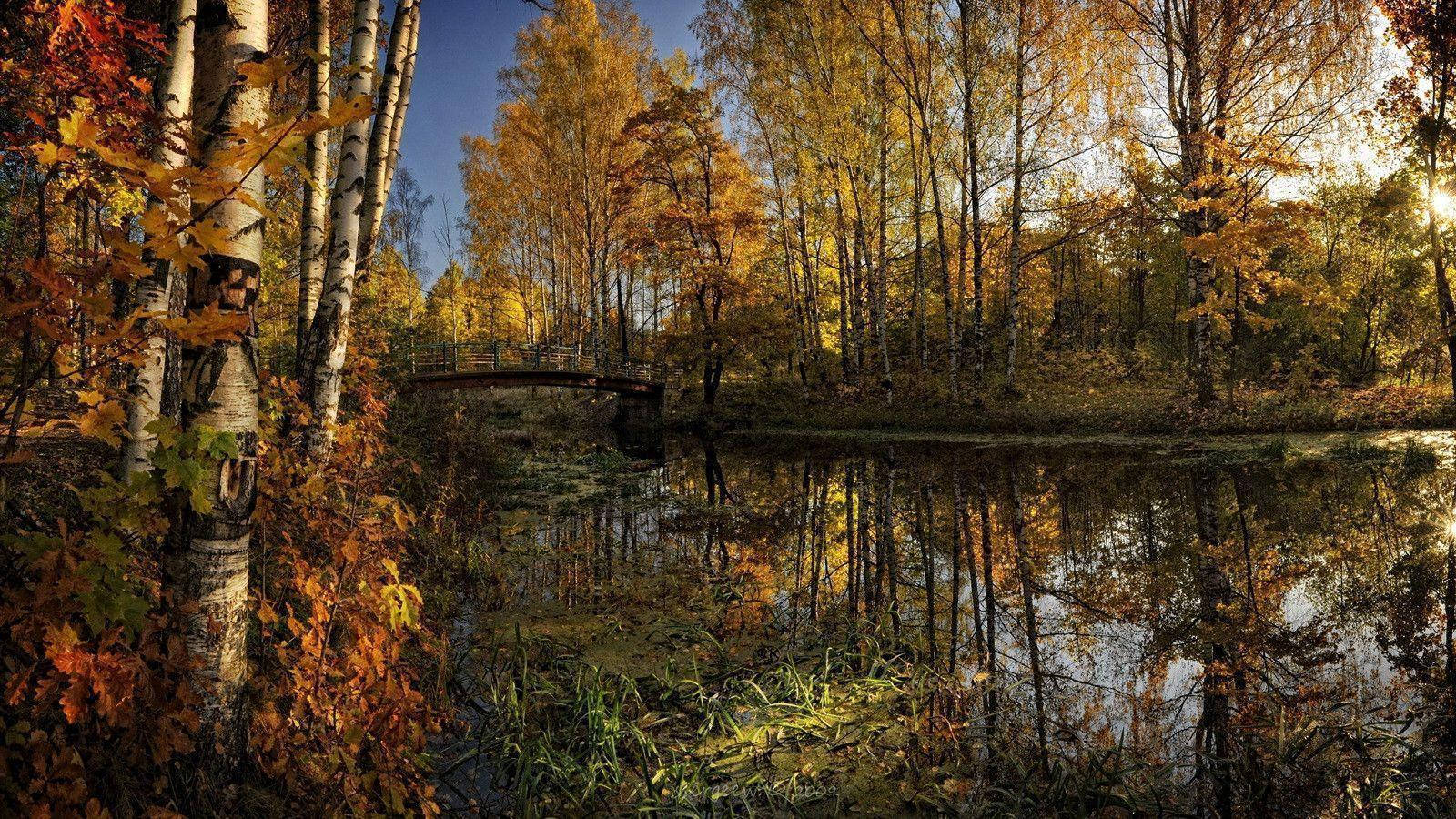 Autumn River Full Hd 1600x900 Background