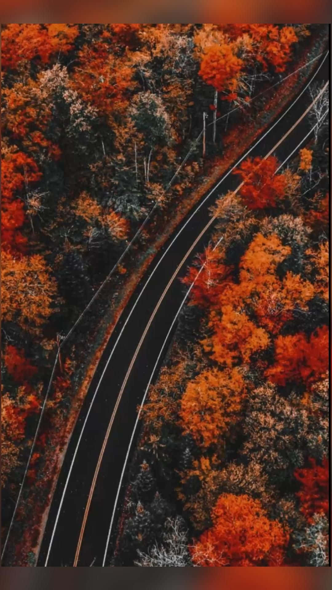 Autumn Road Aerial View Background