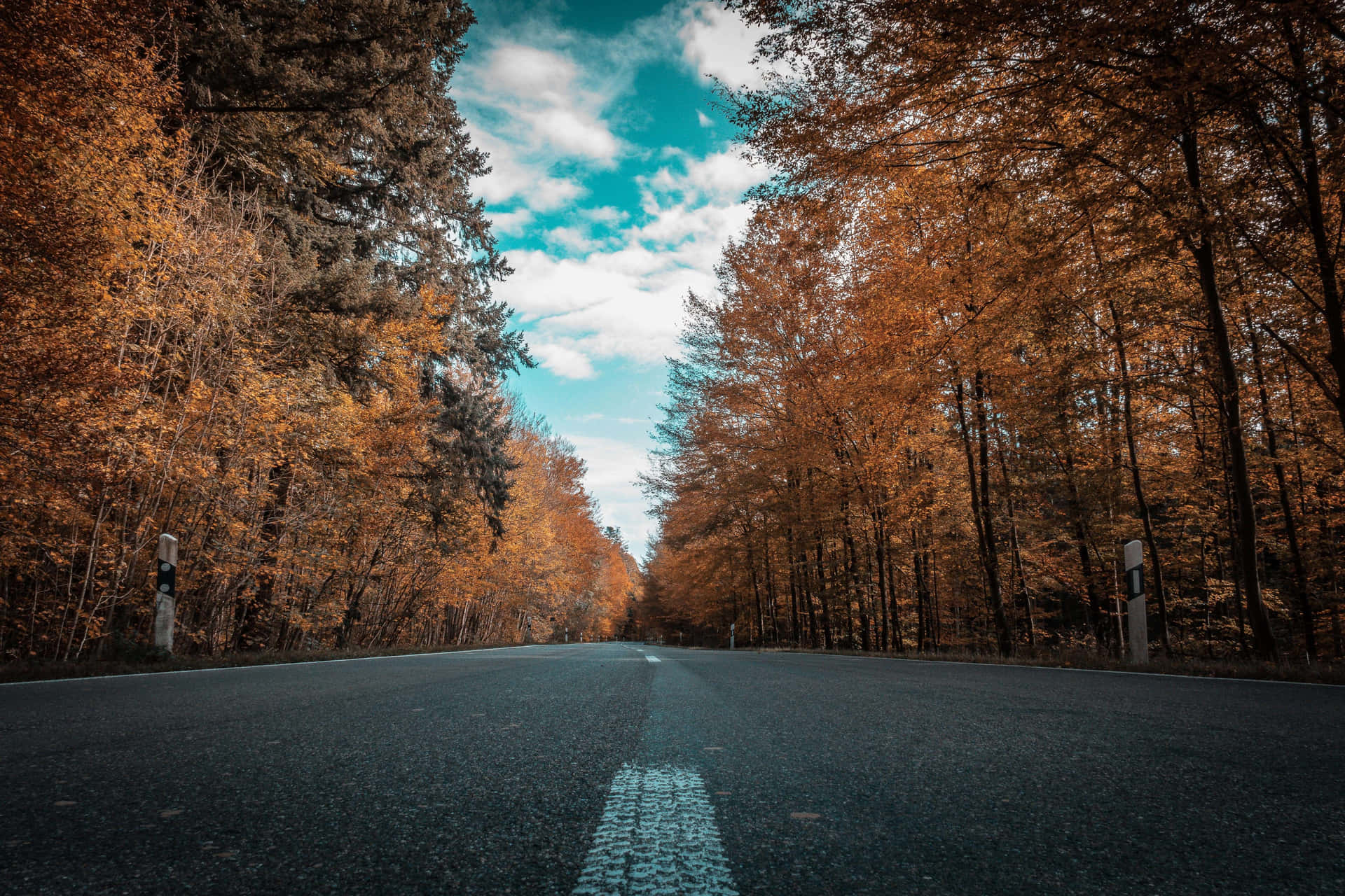Autumn Road Canopy Fall Colors Background