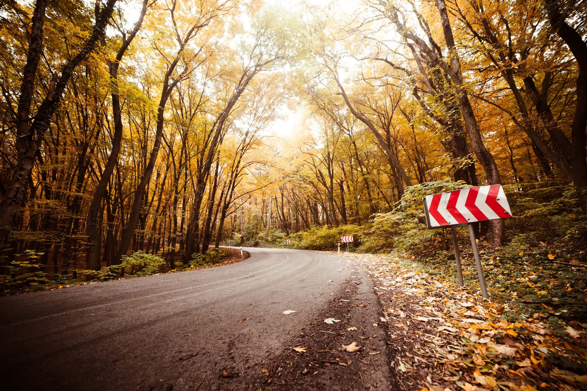 Autumn Road Curve Warning Sign Background