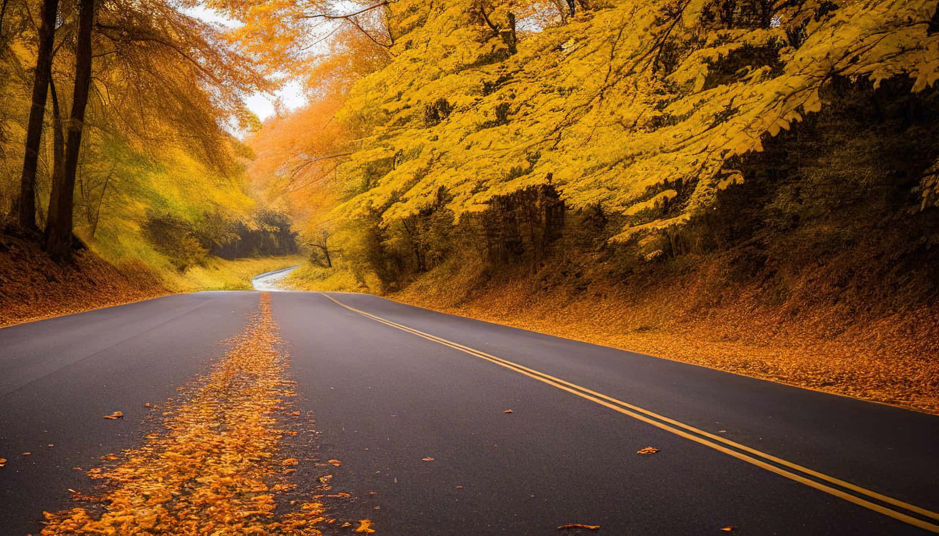 Autumn Road Foliage Scenery Background
