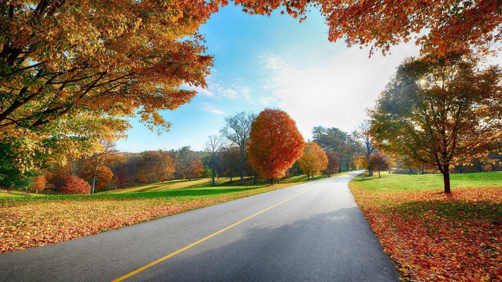 Autumn Road Full Hd 1600x900 Background