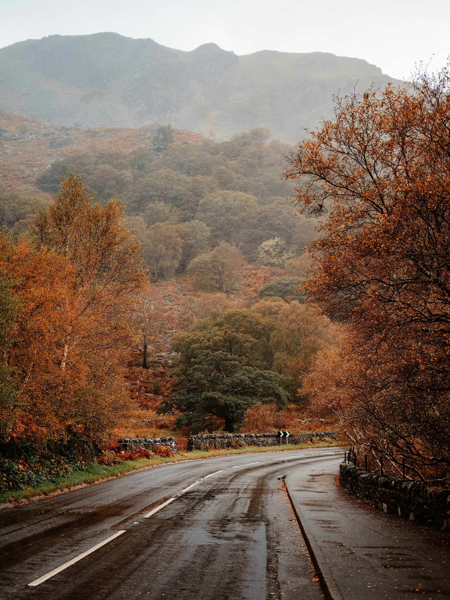 Autumn Road Misty Mountains Background