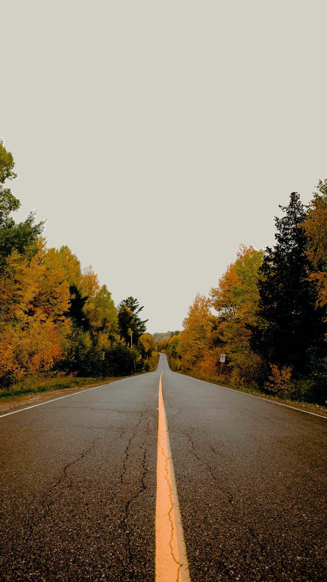 Autumn Road Serenity.jpg Background