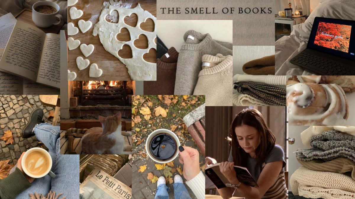 Autumn Scenery - Enjoy The Views Of Fall