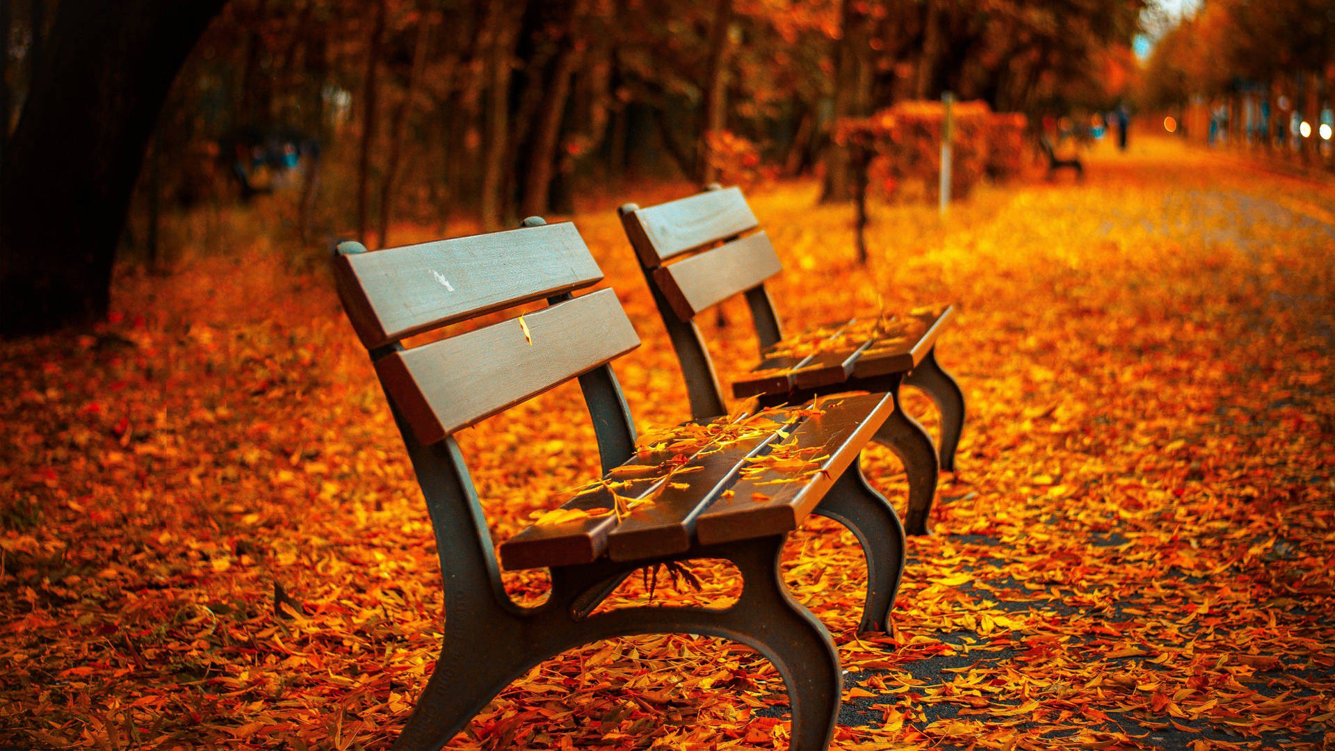 Autumn Scenery In Stunning 4k Uhd Resolution Background