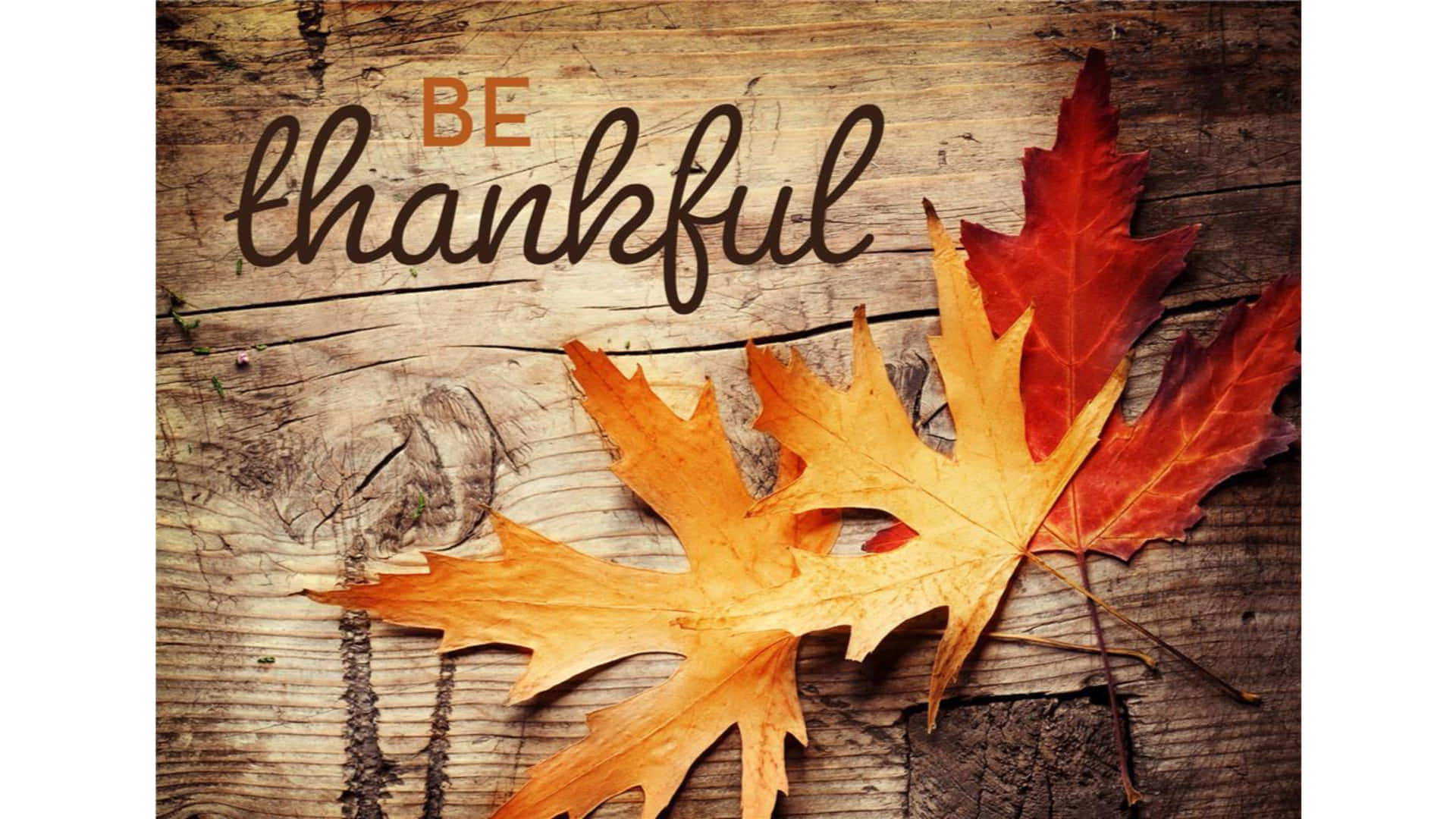 Autumn Season Be Thankful Poster Background