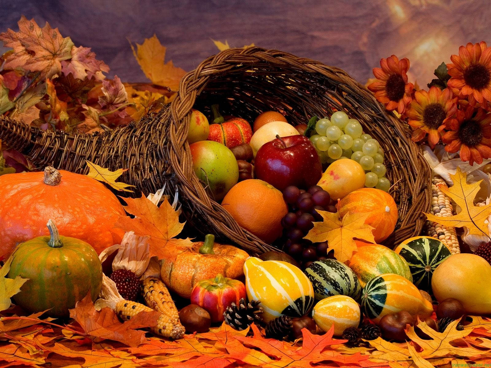 Autumn Season Fruits Basket Background