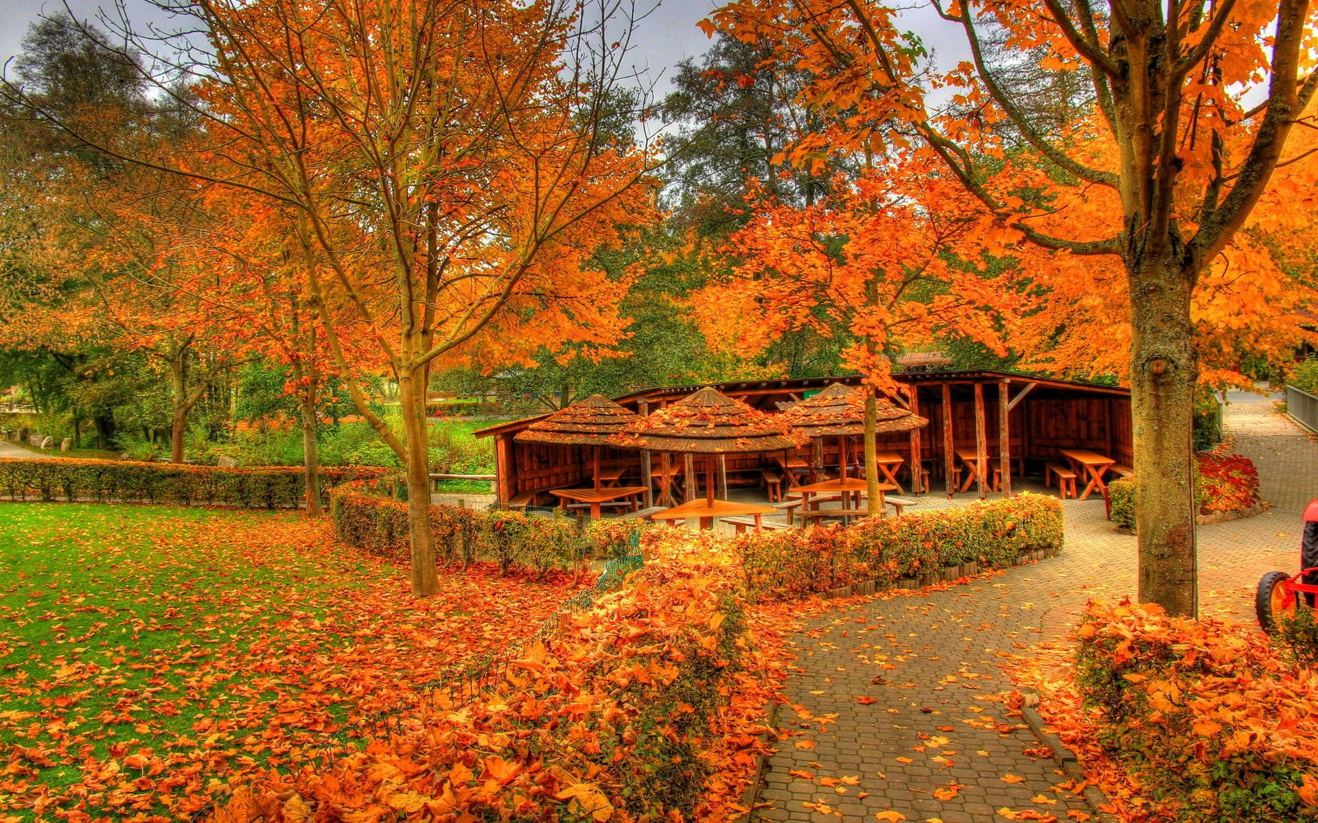 Autumn Season Gazebo Background