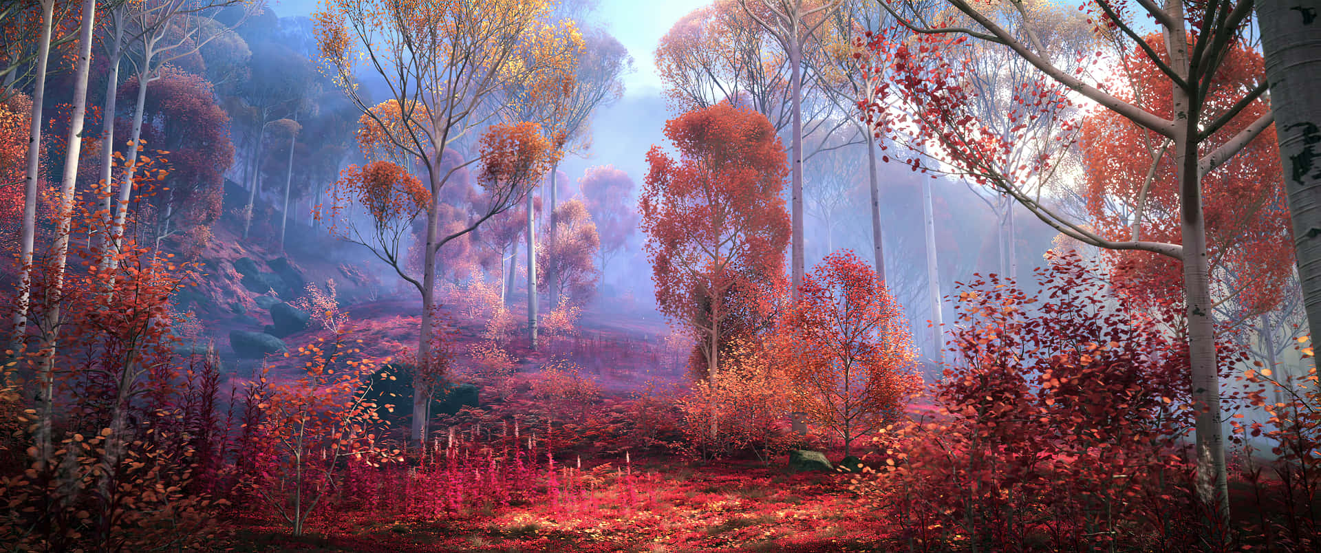 Autumn Season Magical Forest Background