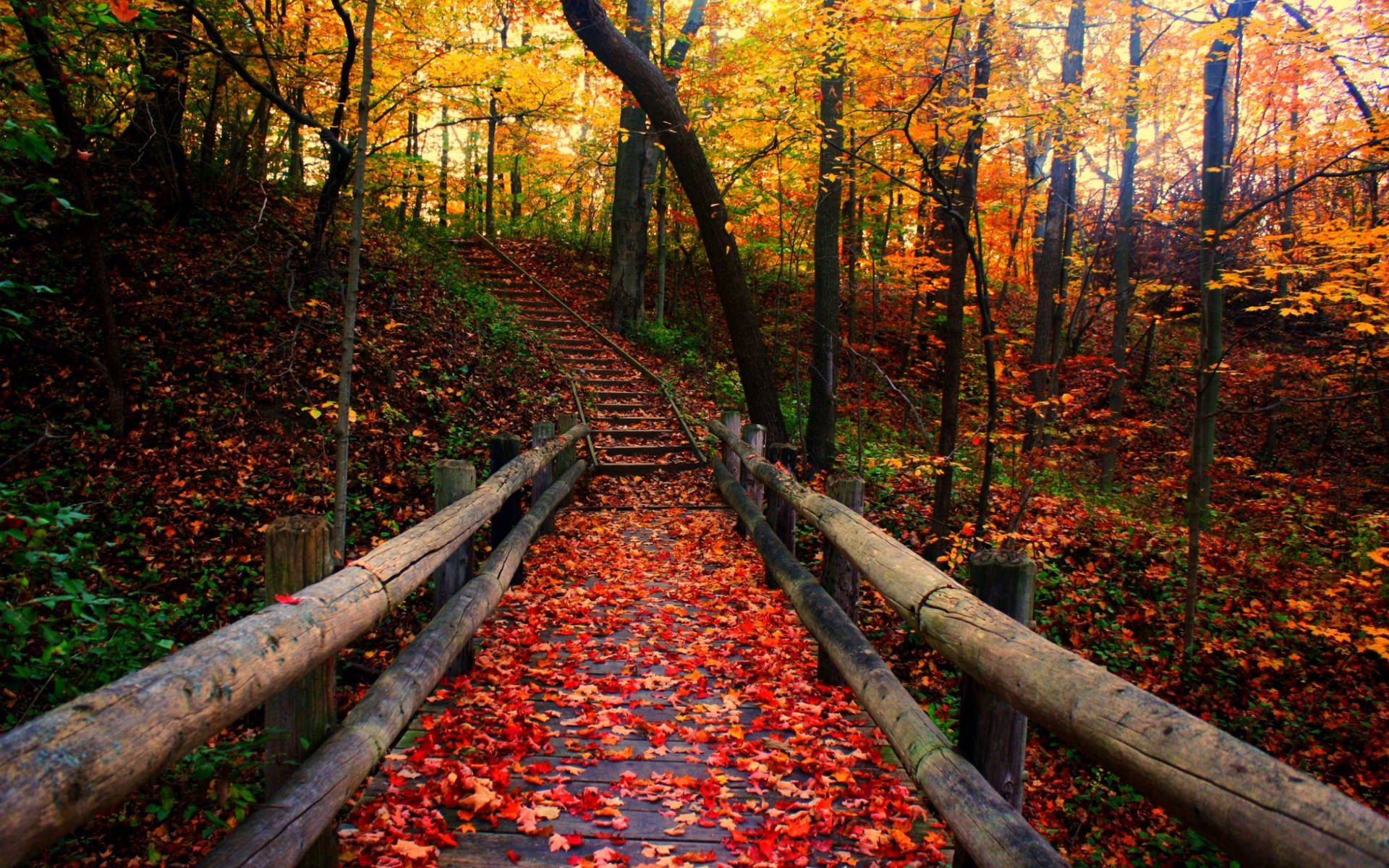 Autumn Season Stairway Background