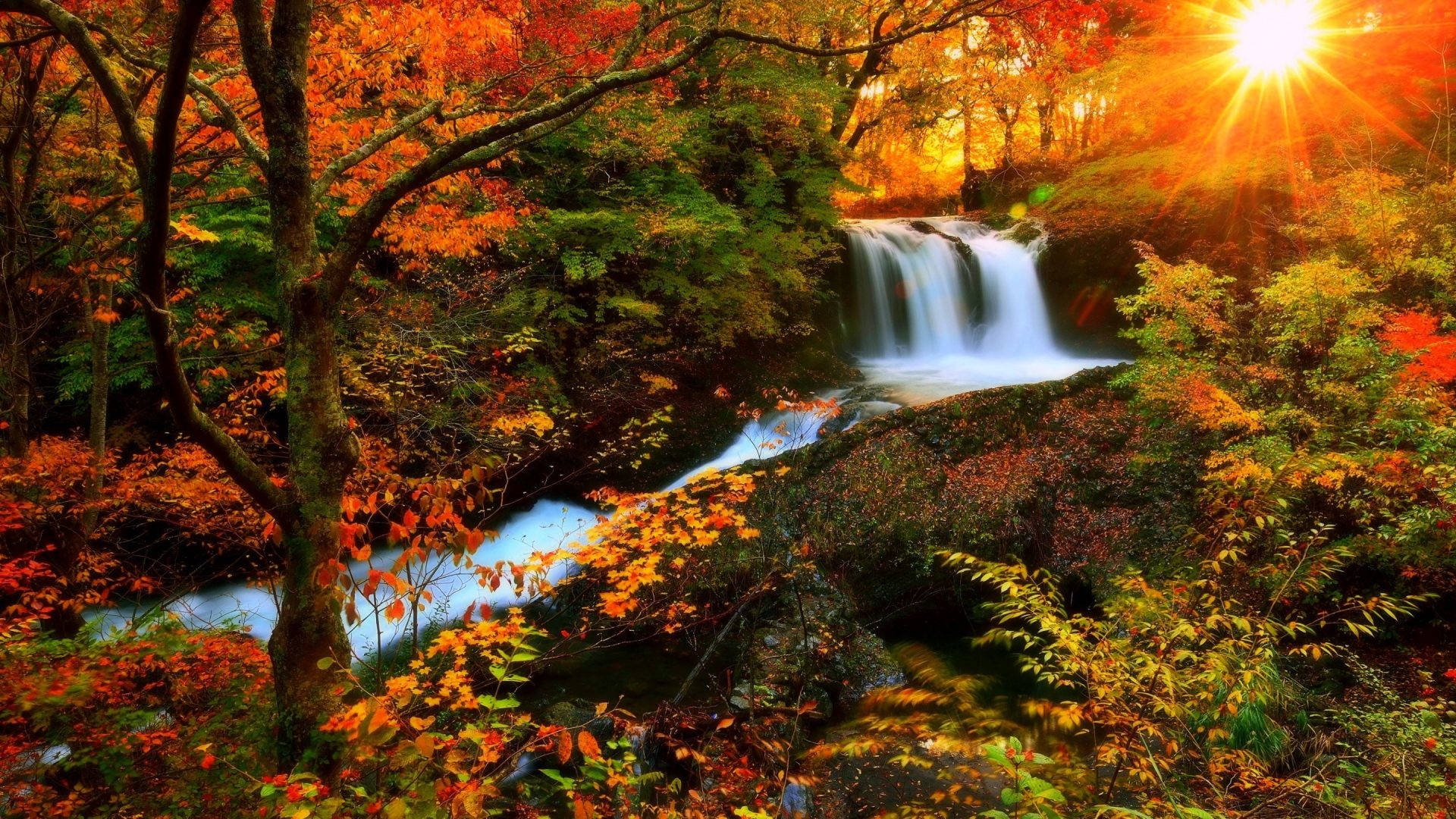 Autumn Season Stream Background