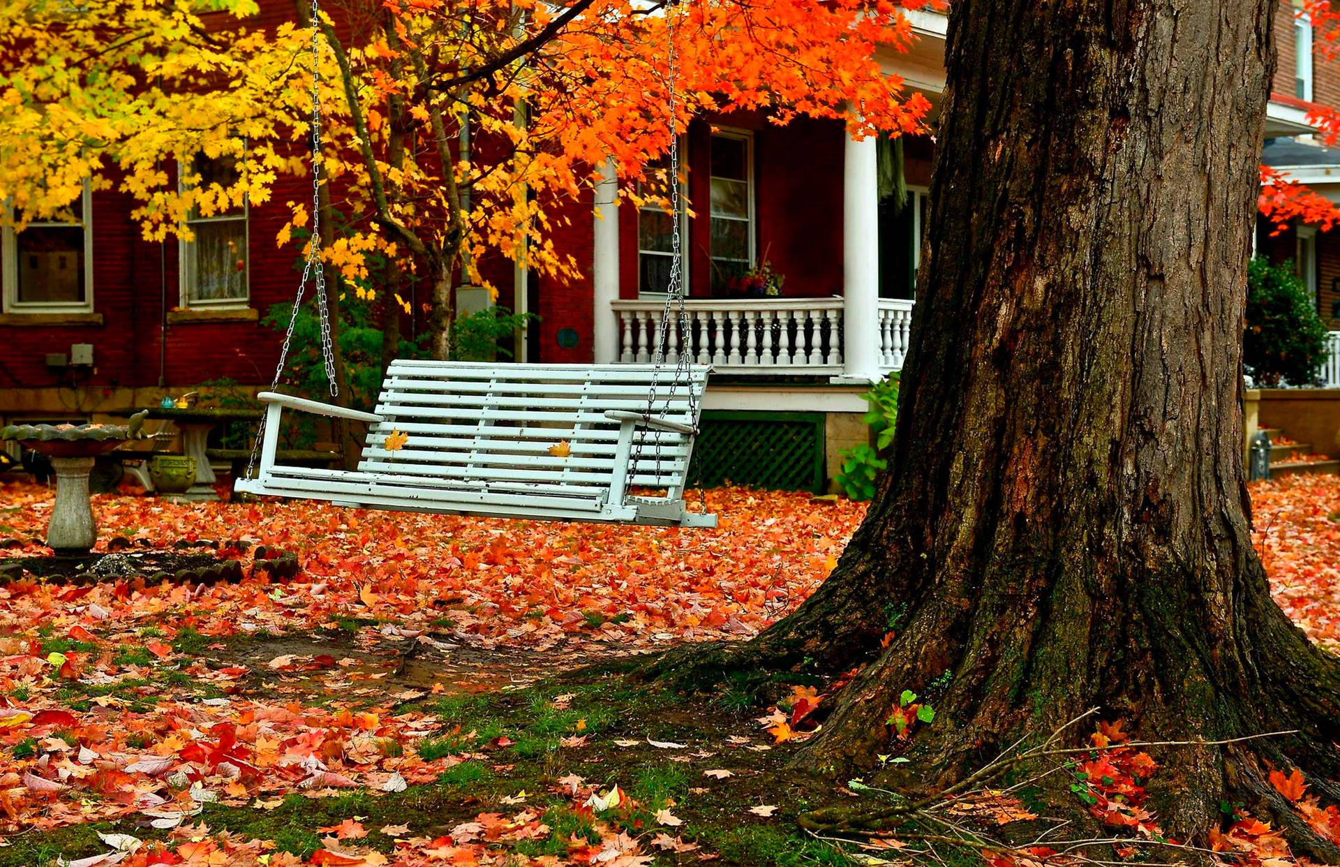 Autumn Season White Bench Background