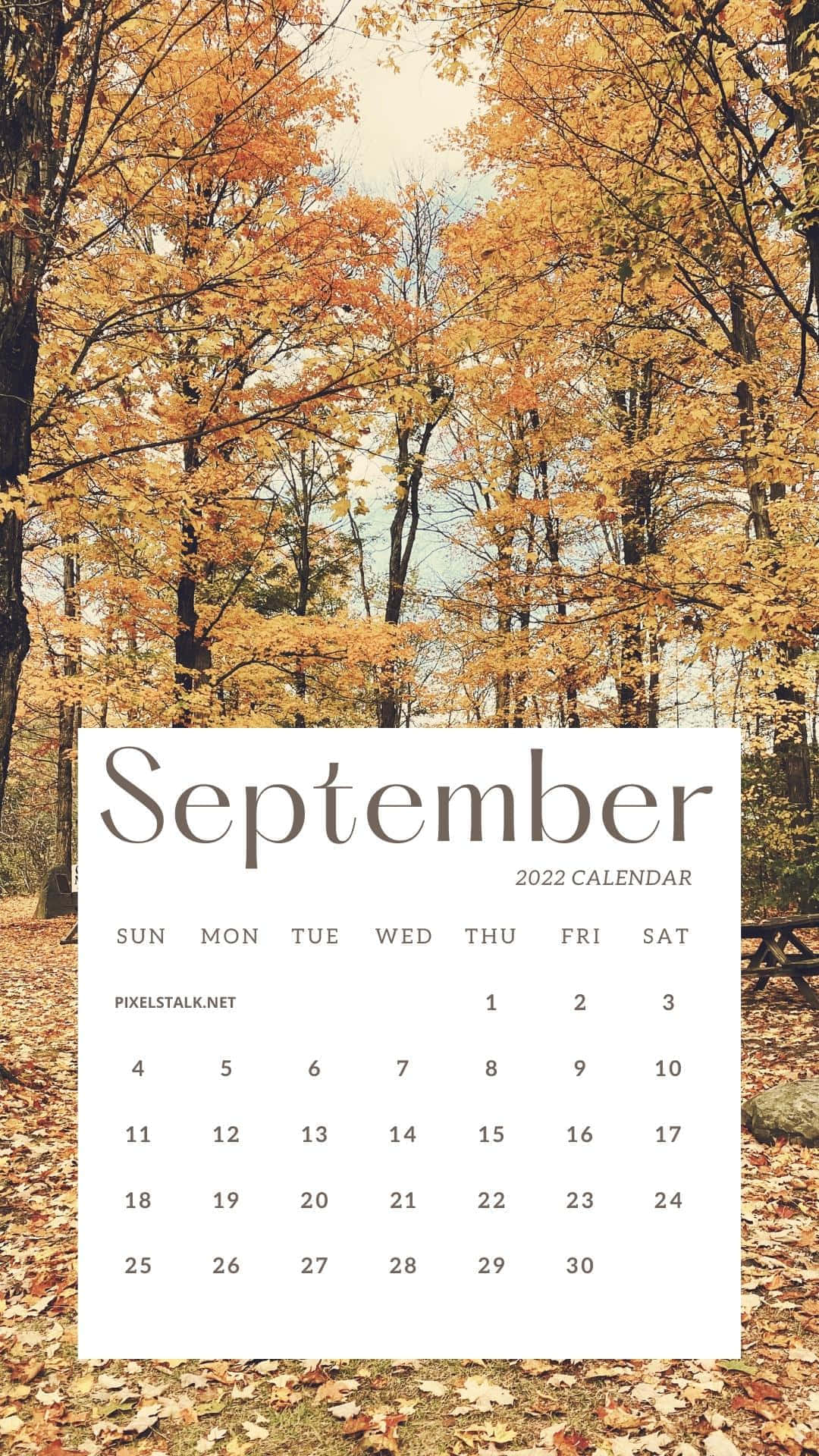 Autumn September2022 Calendar Wallpaper Background