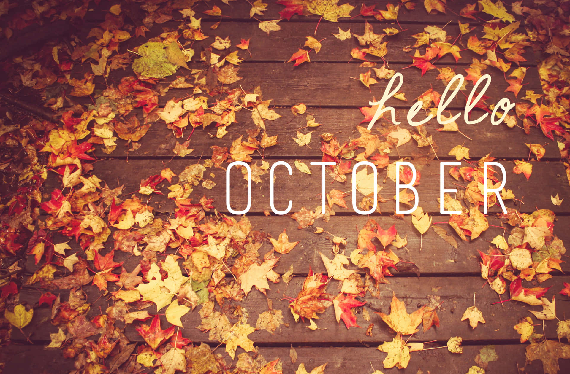 Autumn Splendor: Hello October With Pumpkin Background