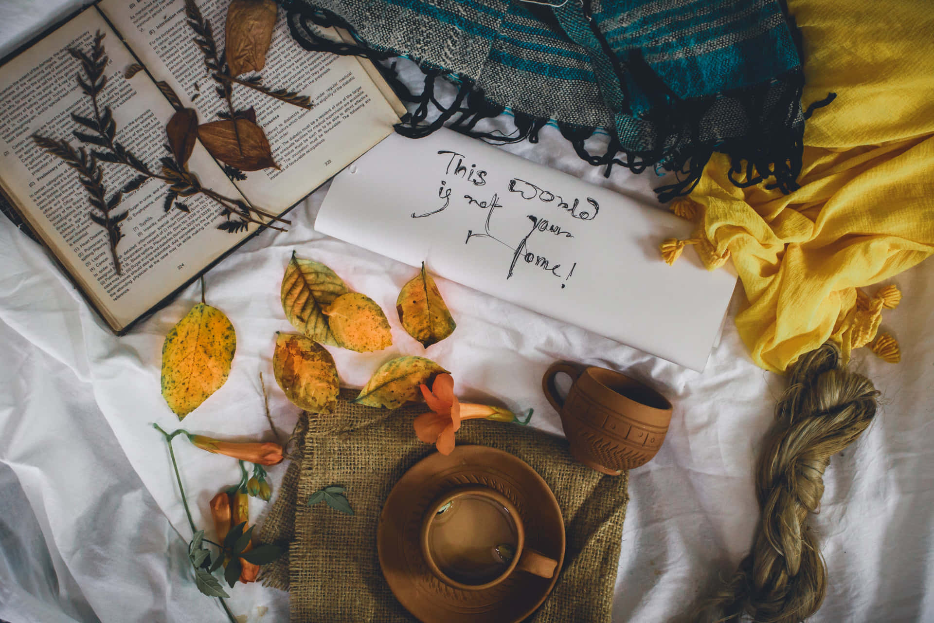 Autumn Still Lifewith Teaand Book Background