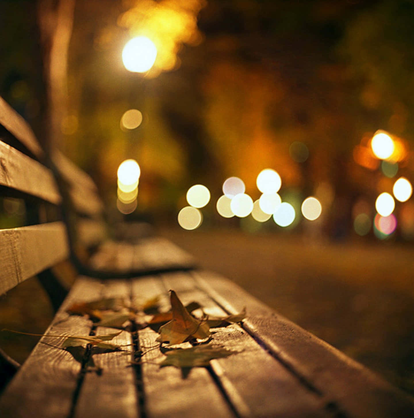 Autumn Street Light Background