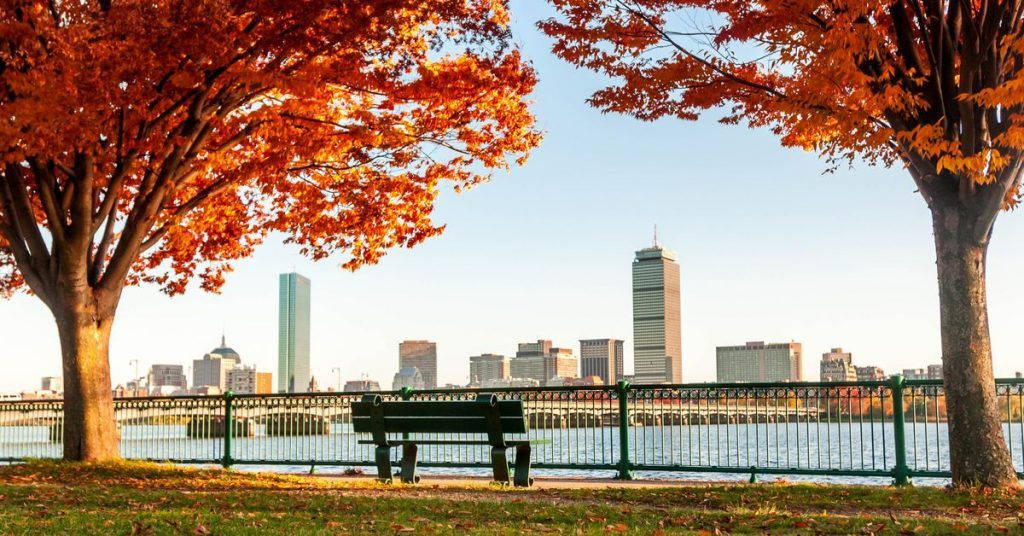 Autumn Trees In Boston Background